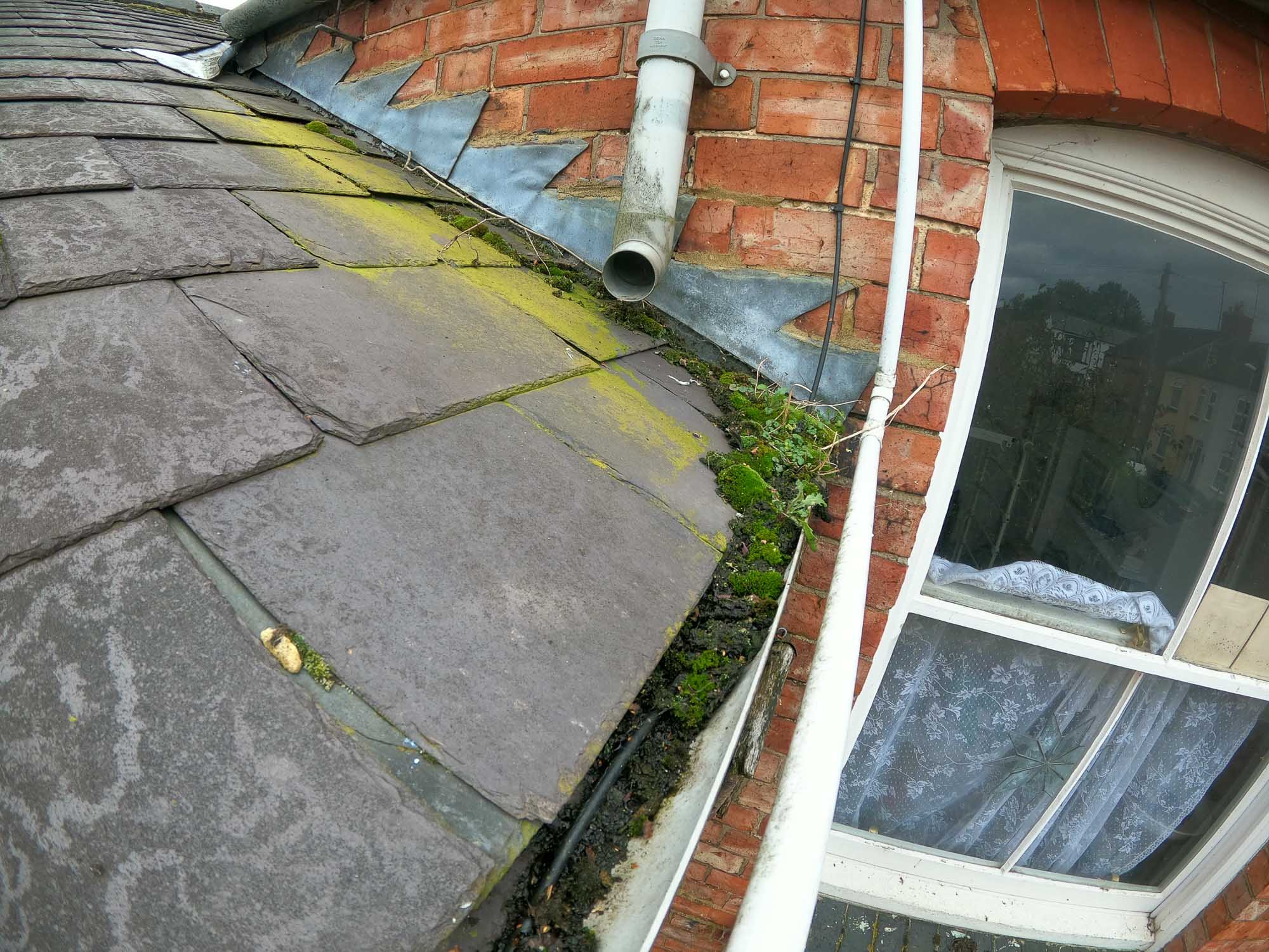 Moss-covered roof tiles and blocked gutter showing typical debris buildup