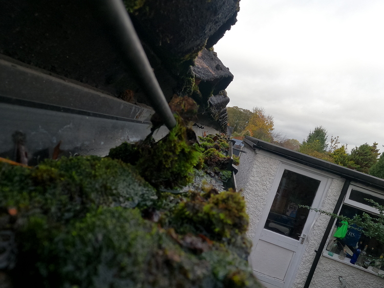 Before gutter cleaning in Nottingham showing blocked gutter with debris