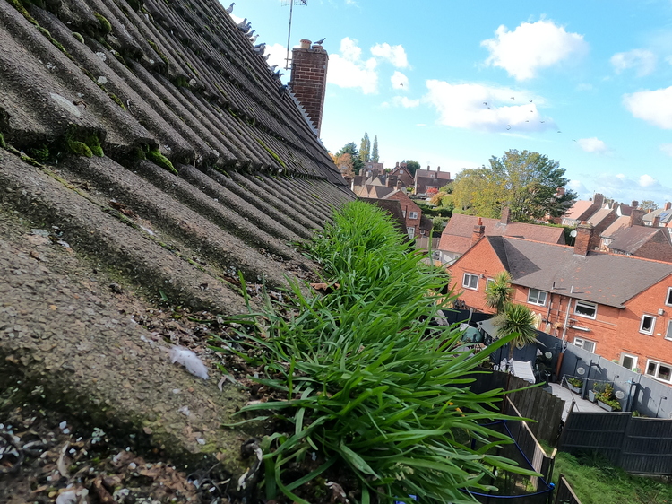 Moss-covered sloped rooftop in Nottingham residential area showing green moss and debris buildup that causes gutter blockages and requires professional gutter cleaning