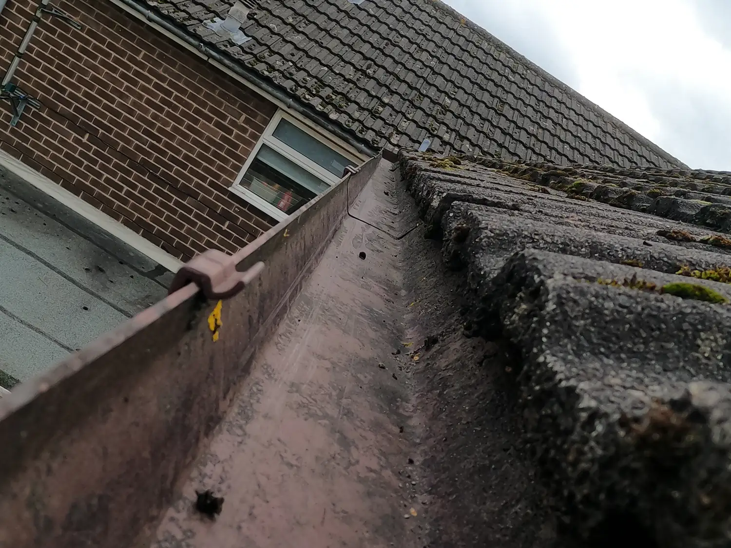 After: gutter above a conservatory on Appledore Avenue, Wollaton, cleared to bare plastic along its full length