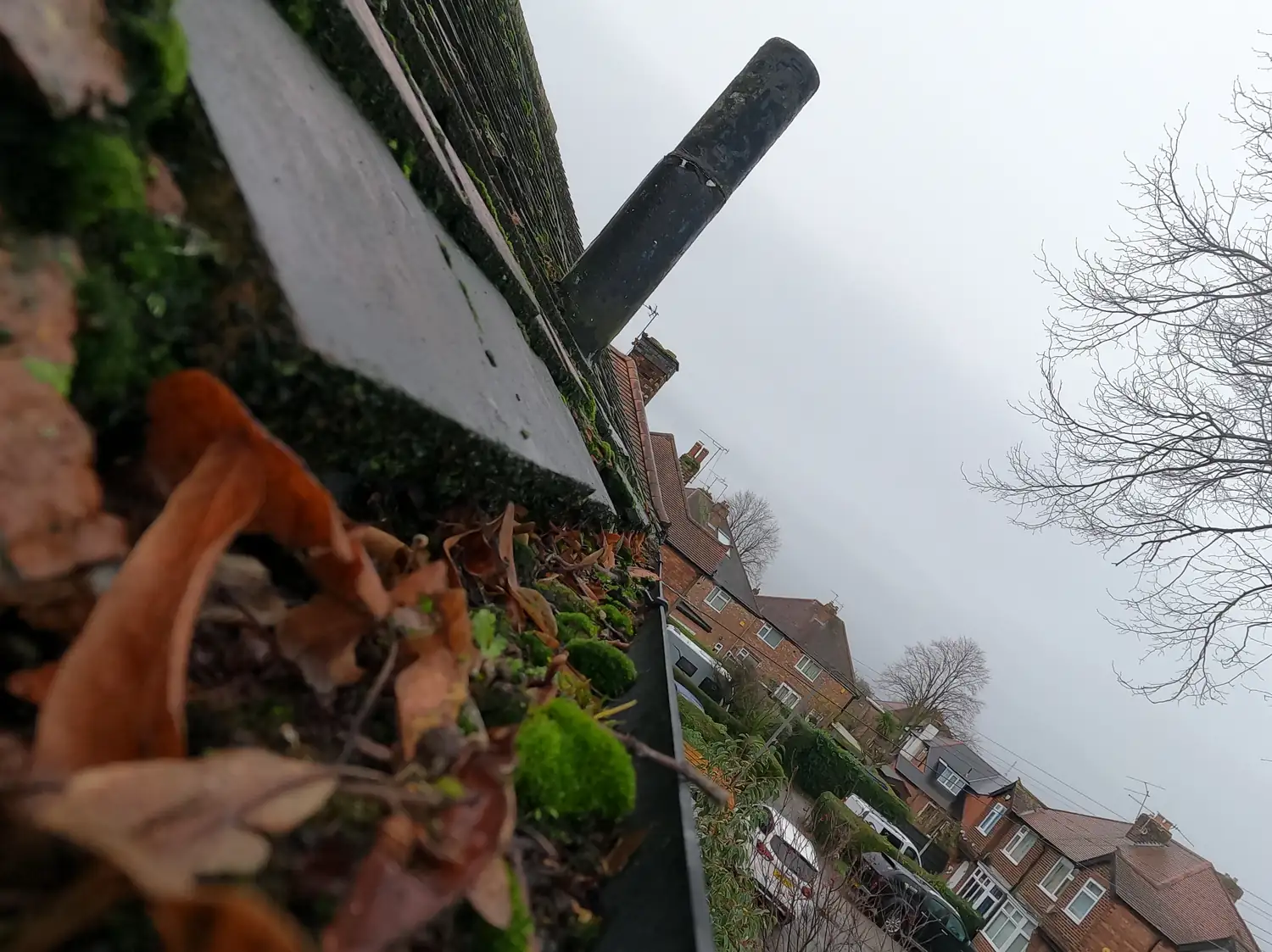 Before: front gutter of a house on Roseleigh Avenue, Mapperley, full of wet leaves and moss beneath a moss-covered tiled roof
