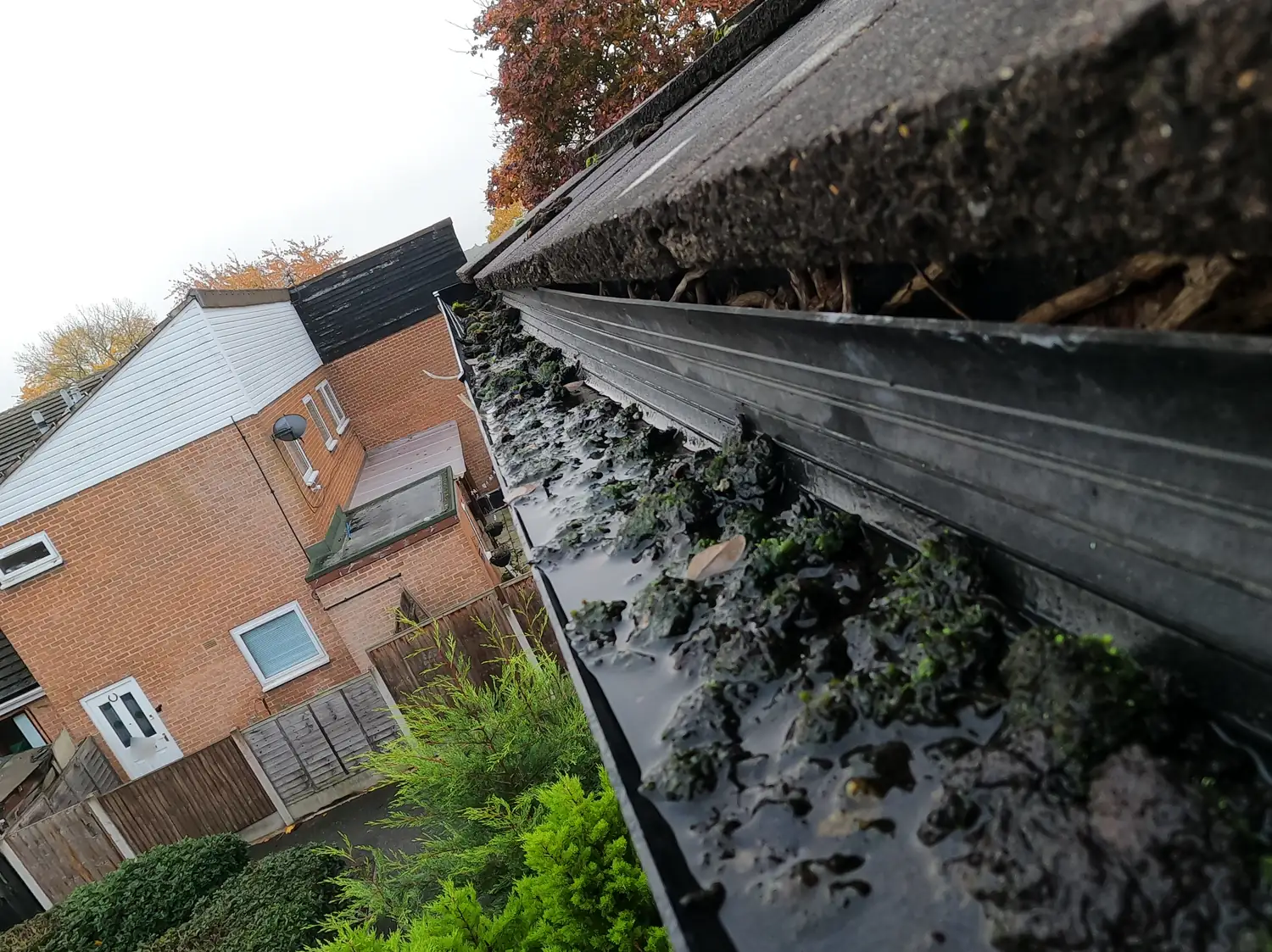 Gutter on Airedale Walk, Wollaton, holding black sludge and standing water below a sagging roof felt, before a SkyVac clean