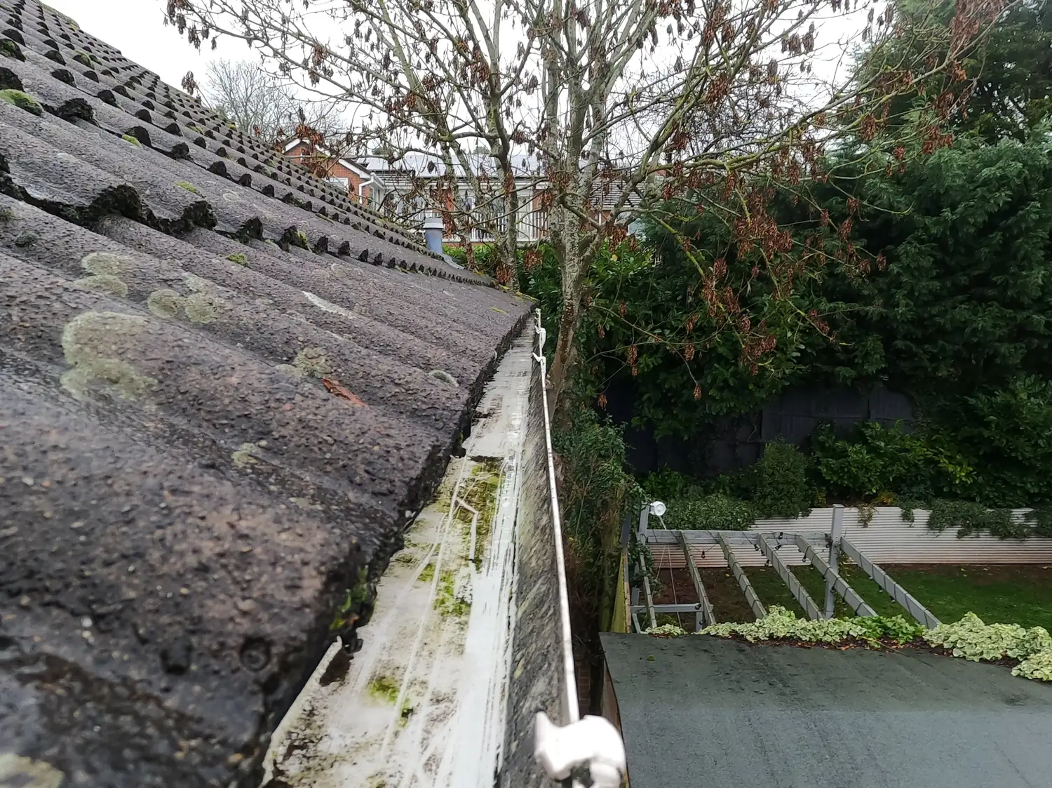 After: rear gutter on Padleys Lane, Burton Joyce, cleared to bare white plastic along its full length beneath the ash tree, with the garden and pergola behind