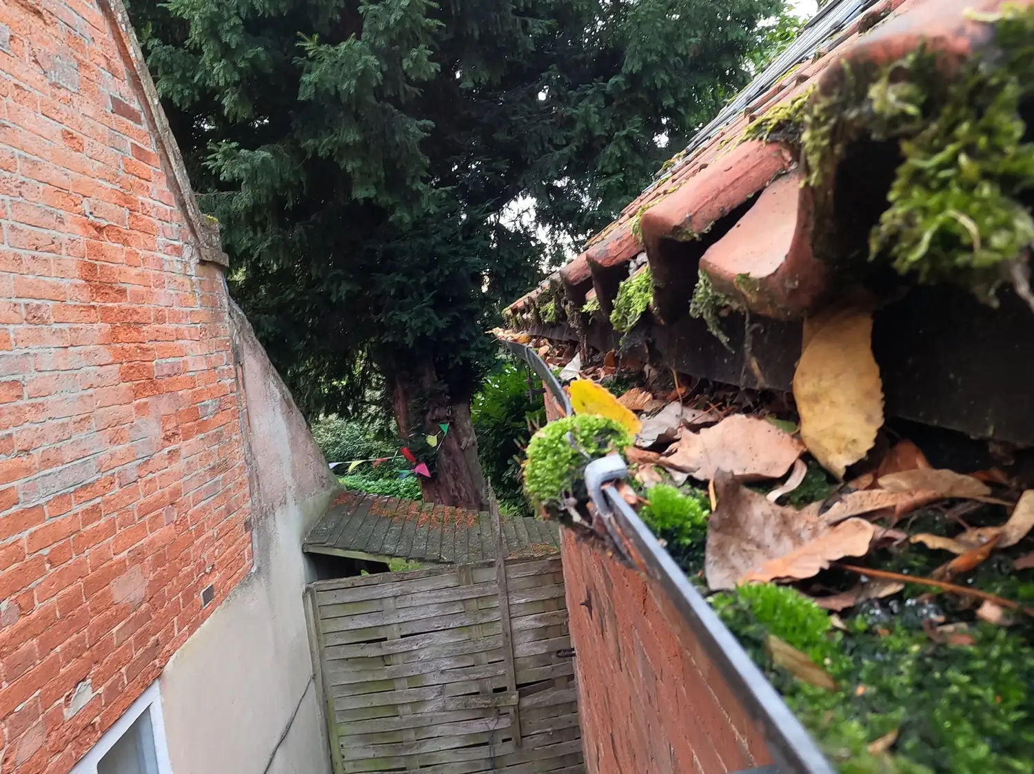 Before: gutter on a converted stables in Gonalston, full of leaves and moss below old clay pantiles, in a narrow passage between two brick buildings under a yew tree