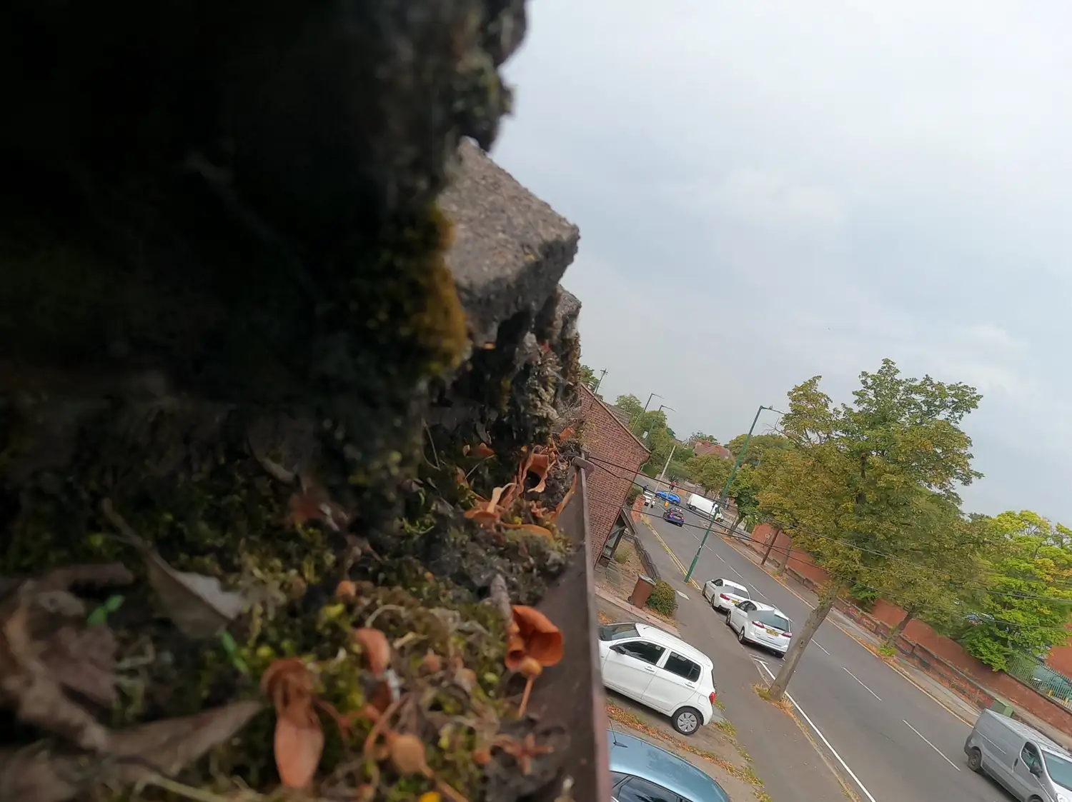 Before: gutter on Crest View, Sherwood, full of moss and dry leaves below concrete tiles, looking down a tree-lined road with 1930s houses