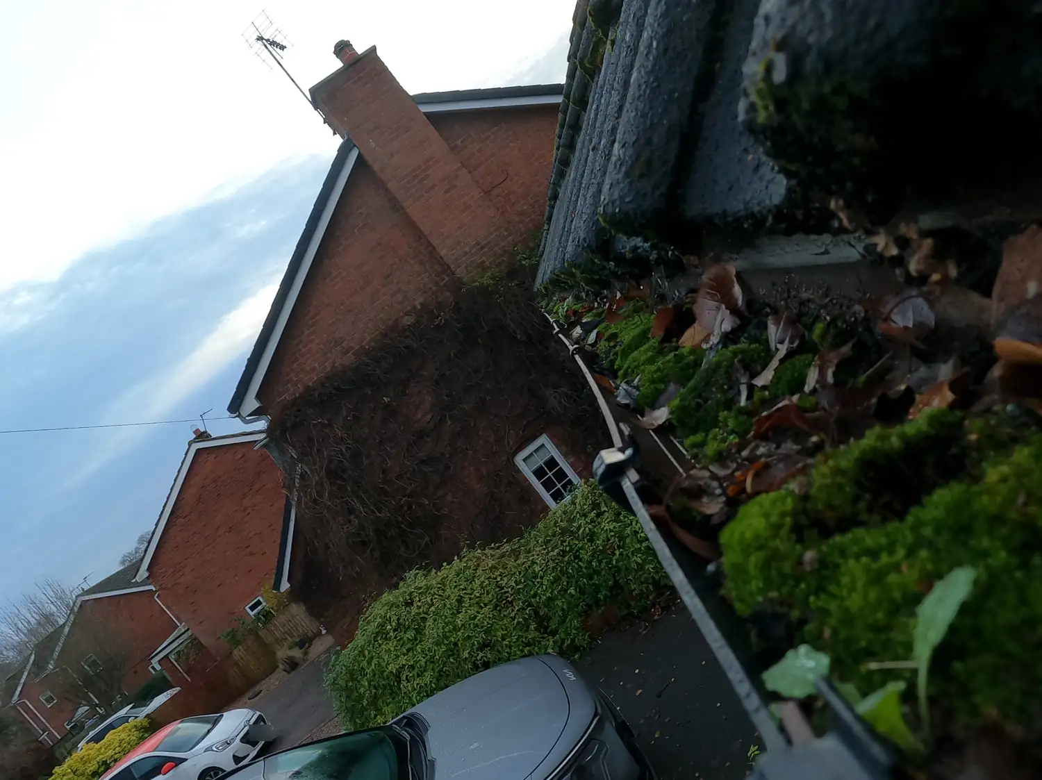 Before: front gutter on a detached house on Padleys Lane, Burton Joyce, full of moss and wet leaves below moss-covered concrete tiles, with the chimney and ivy-clad gable behind