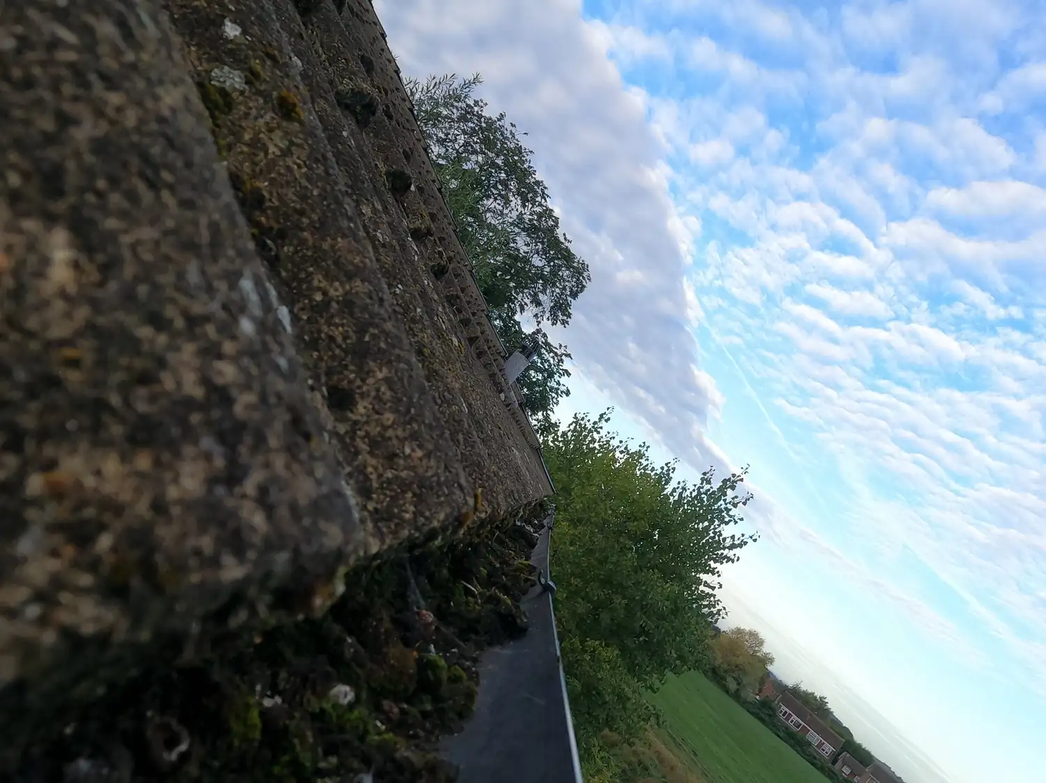 Before: rear gutter on Ramsey Drive, Woodthorpe, full of moss clumps shed from the concrete tiles, with fields and trees behind the house