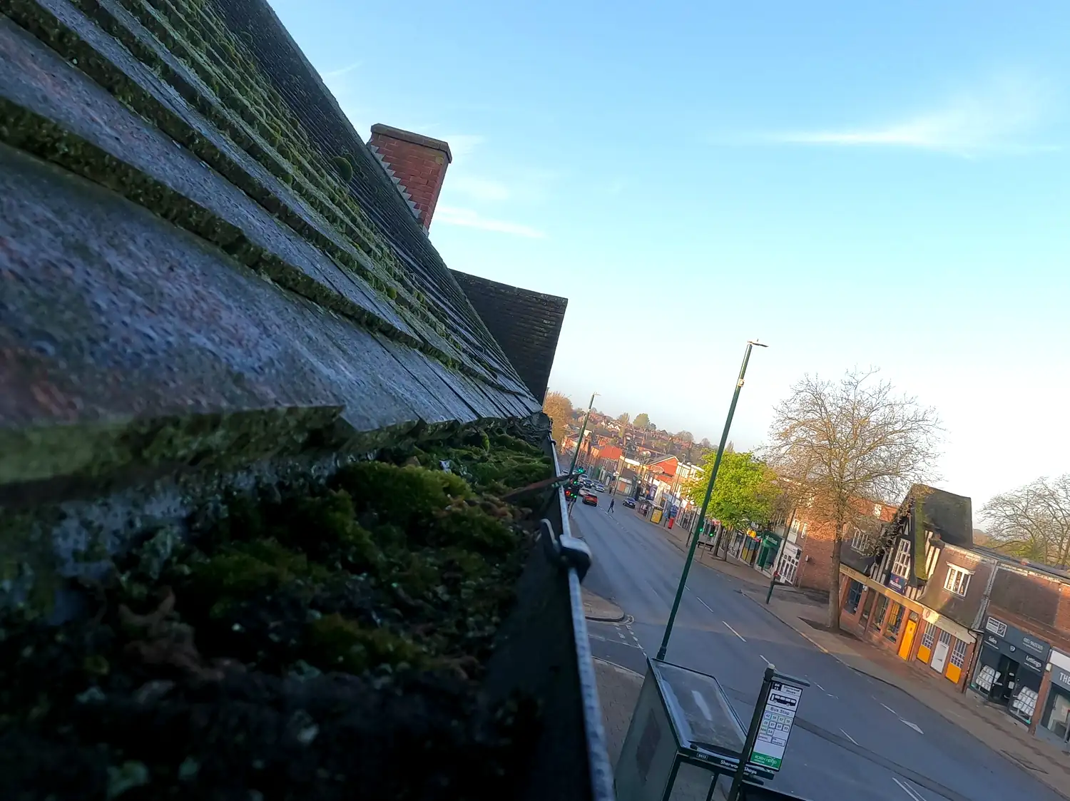 Gutter above the shops on Mansfield Road, Sherwood, full of moss below a moss-covered tiled roof, looking down Mansfield Road through Sherwood in early morning light, before a SkyVac clean