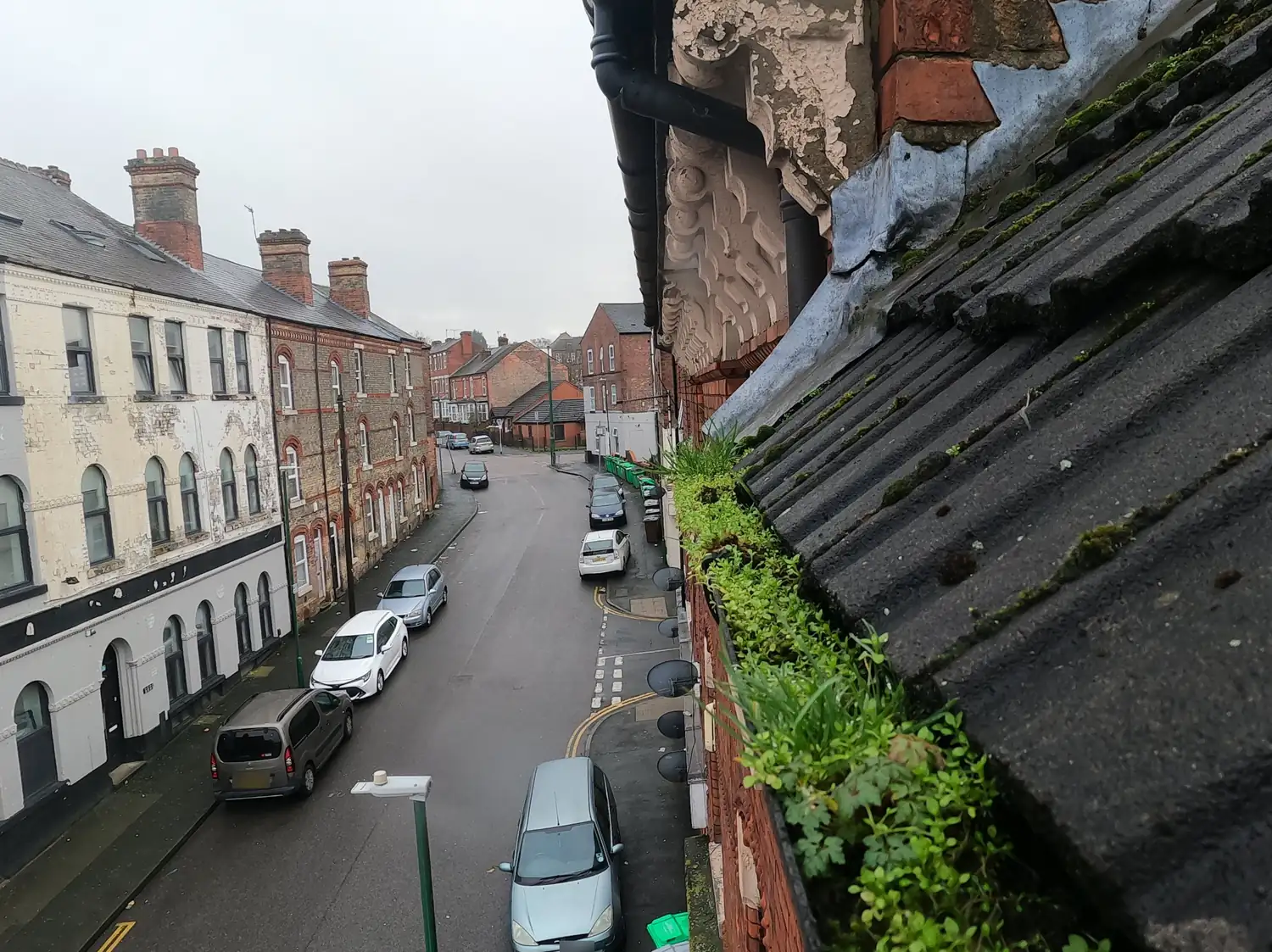 Gutter of a three-storey Victorian terrace on Birkin Avenue, Radford, greened over with weeds along its full length, looking down the terraced street, before a SkyVac clean